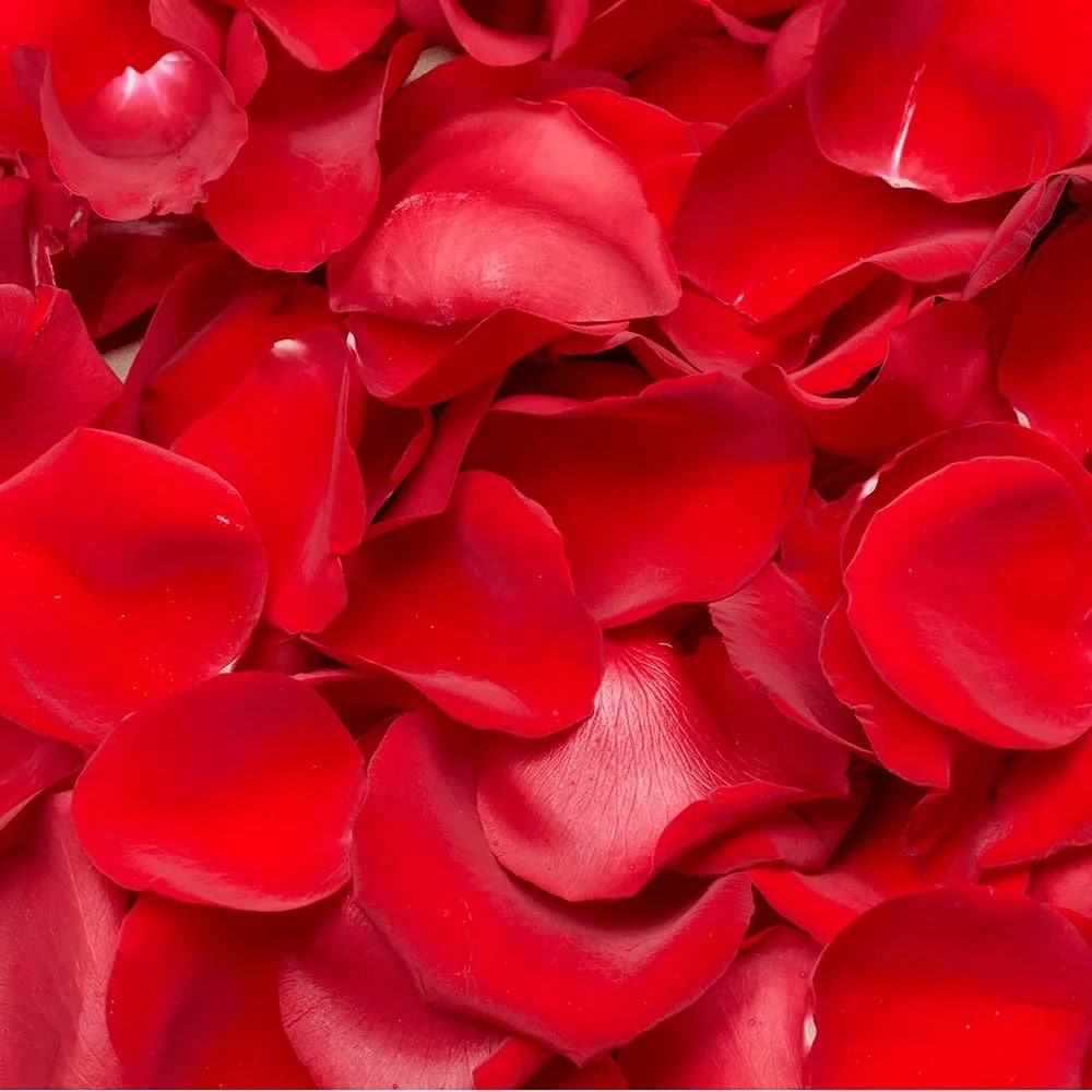 Assorted Rose Petals
